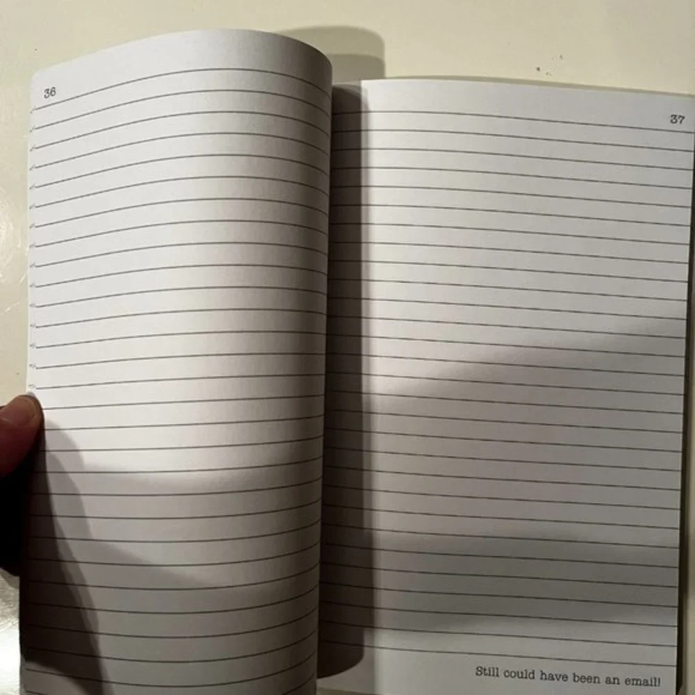 Sarcastic Journal / Notes from a Zoom Meeting That Should Have Been an‎ Email